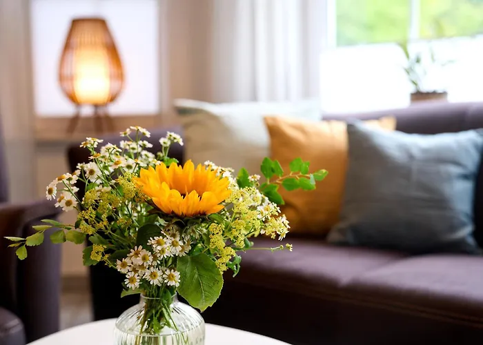 Fewo-eifelvielfalt داون